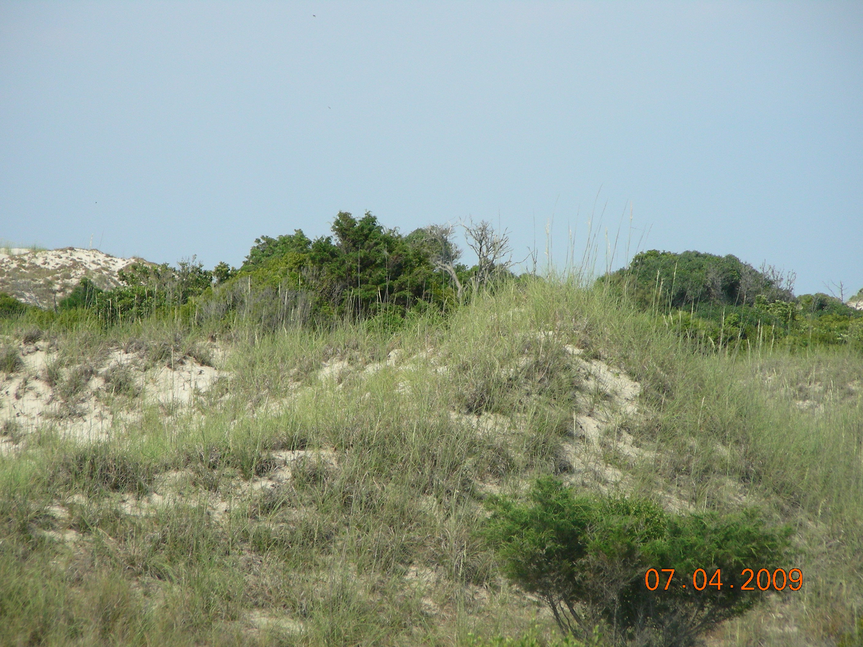 ./2009/July 4th/DSCN6187.JPG